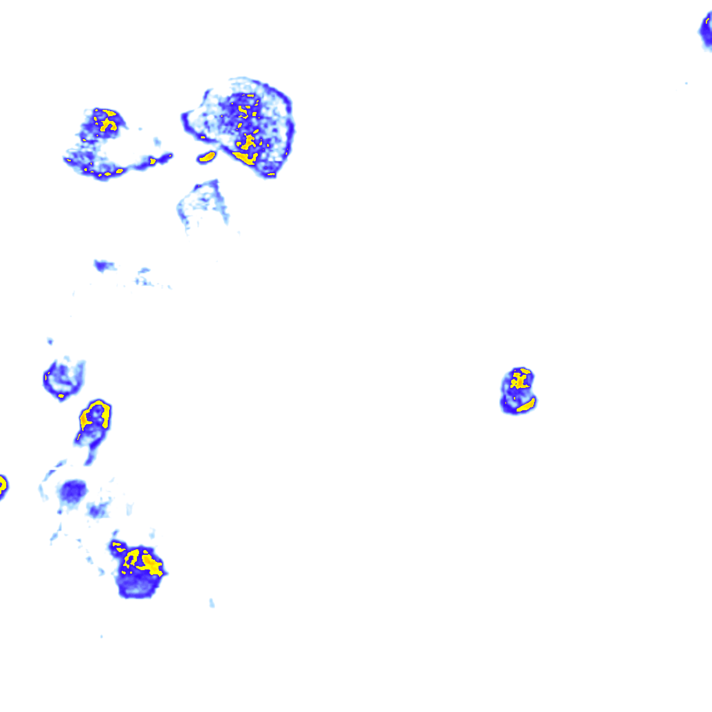 Image Layer