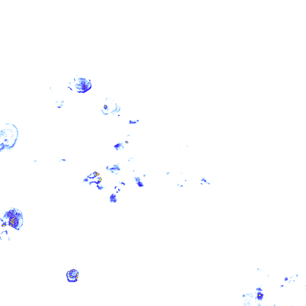 rainLayer