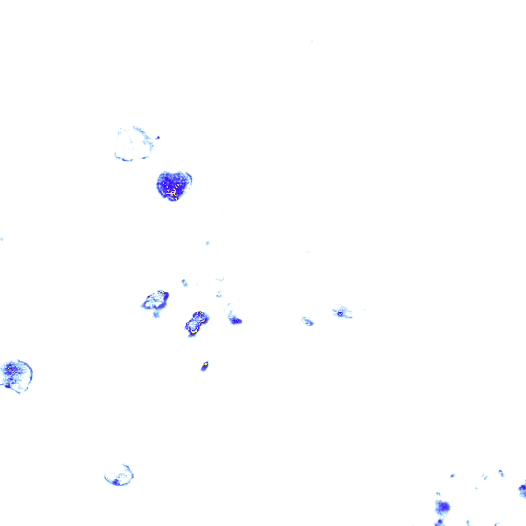 rainLayer