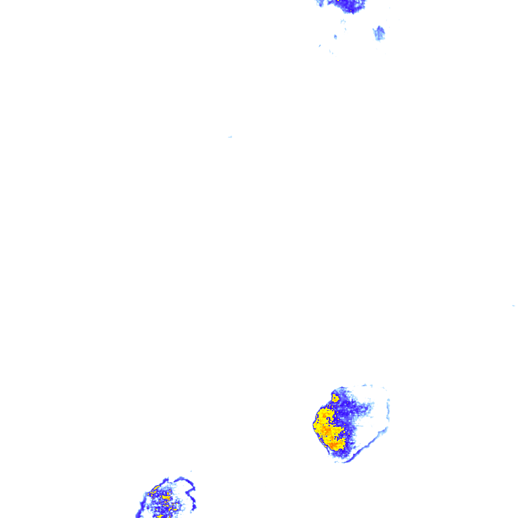 rainLayer