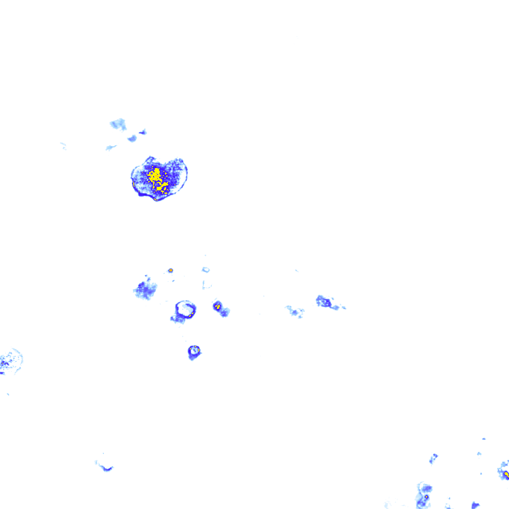 rainLayer