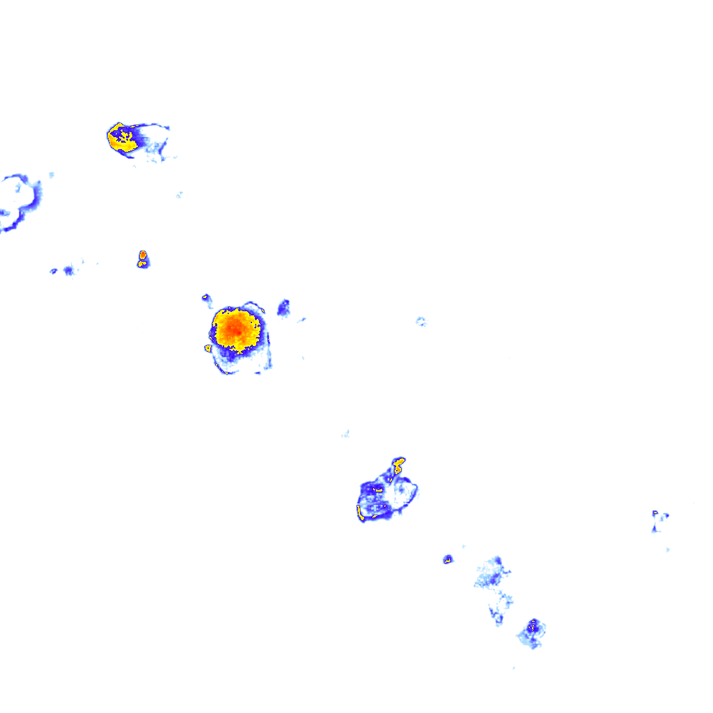 Image Layer