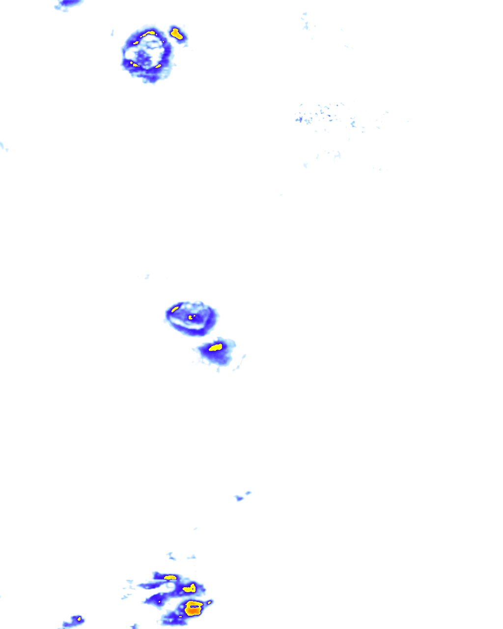 rainLayer