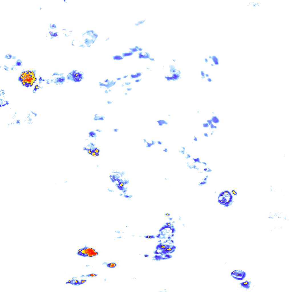 rainLayer