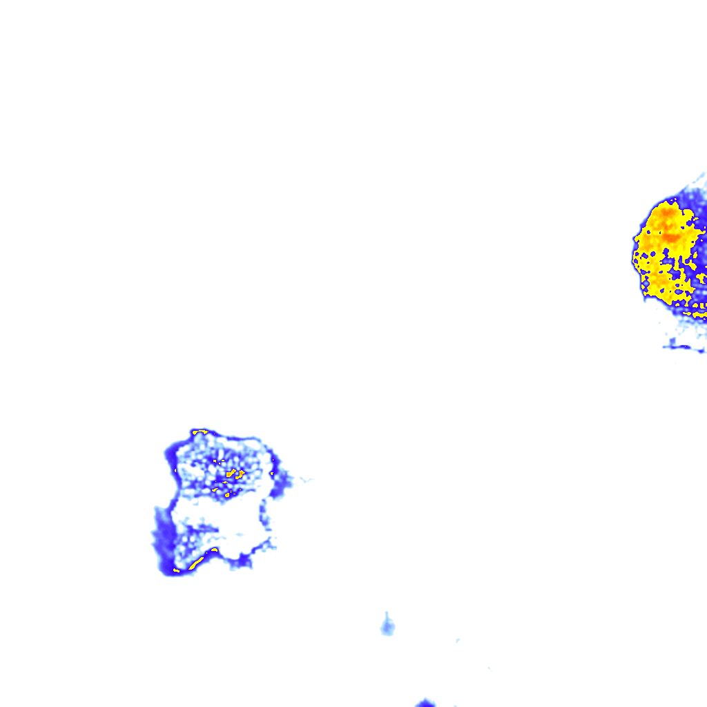 rainLayer