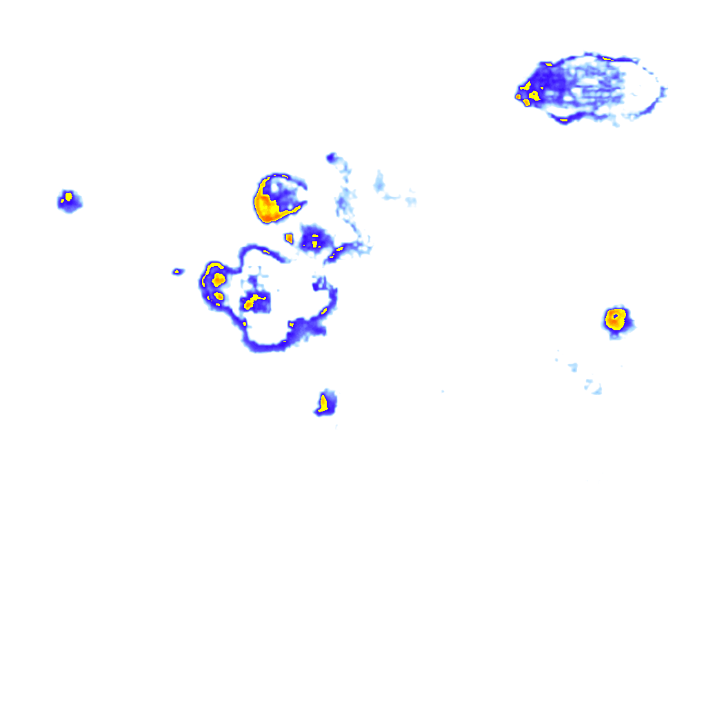 rainLayer