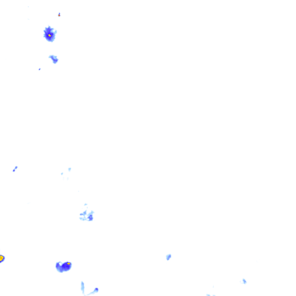 rainLayer