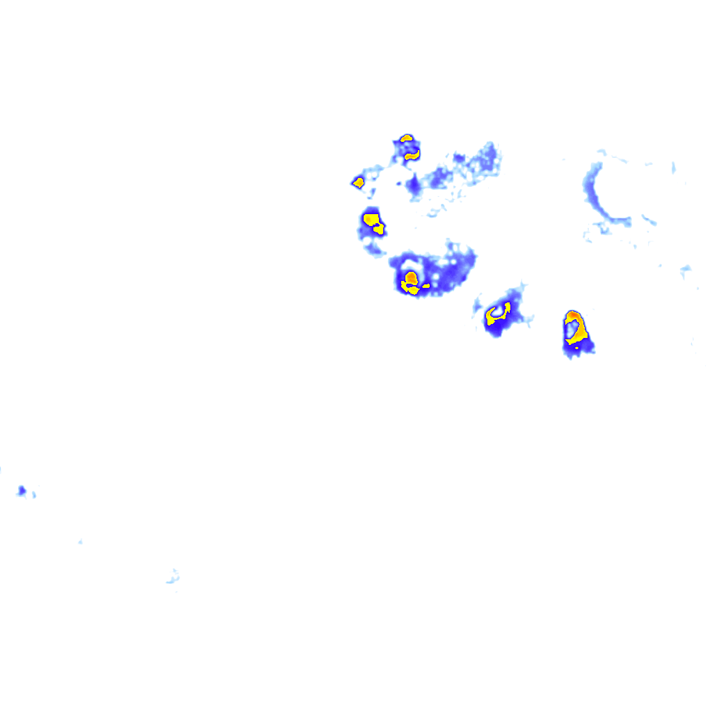 rainLayer