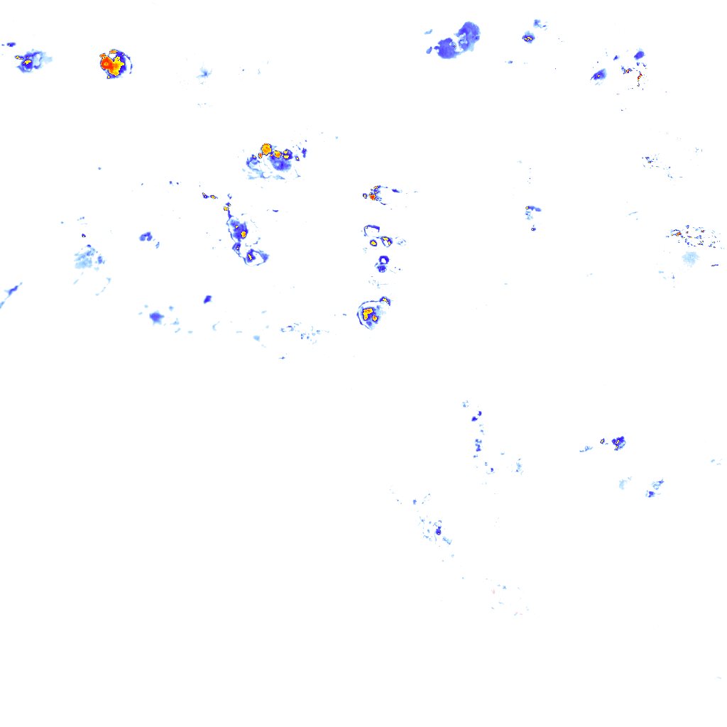 rainLayer