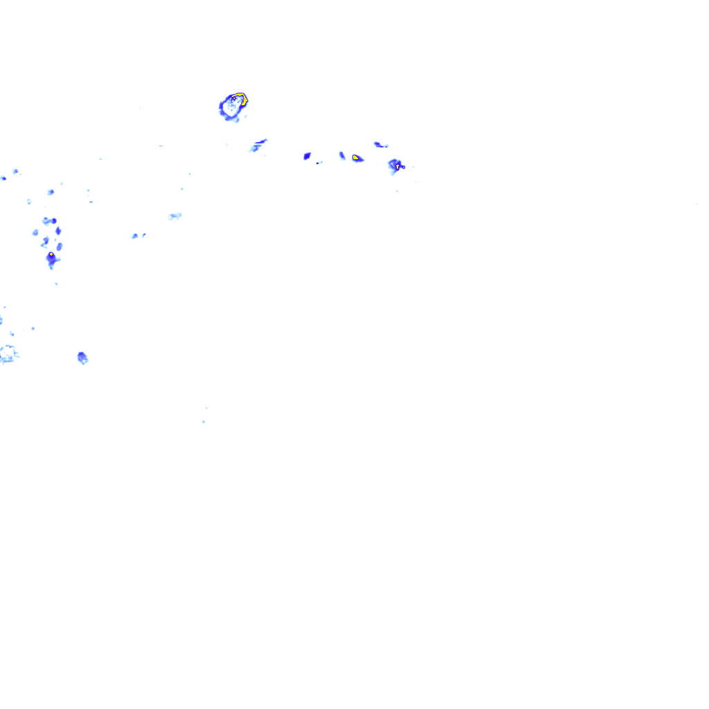 rainLayer