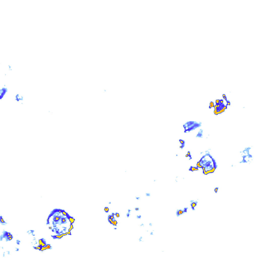 rainLayer