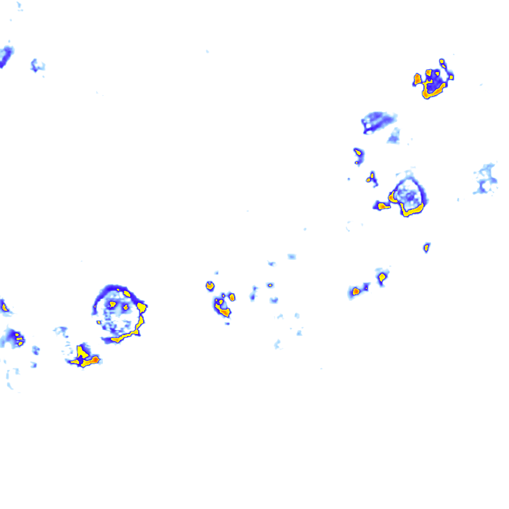rainLayer