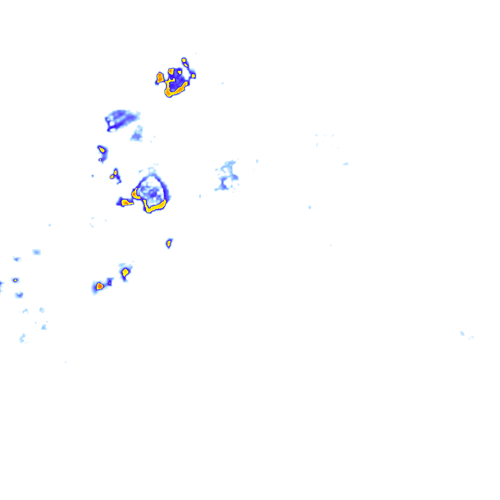 rainLayer