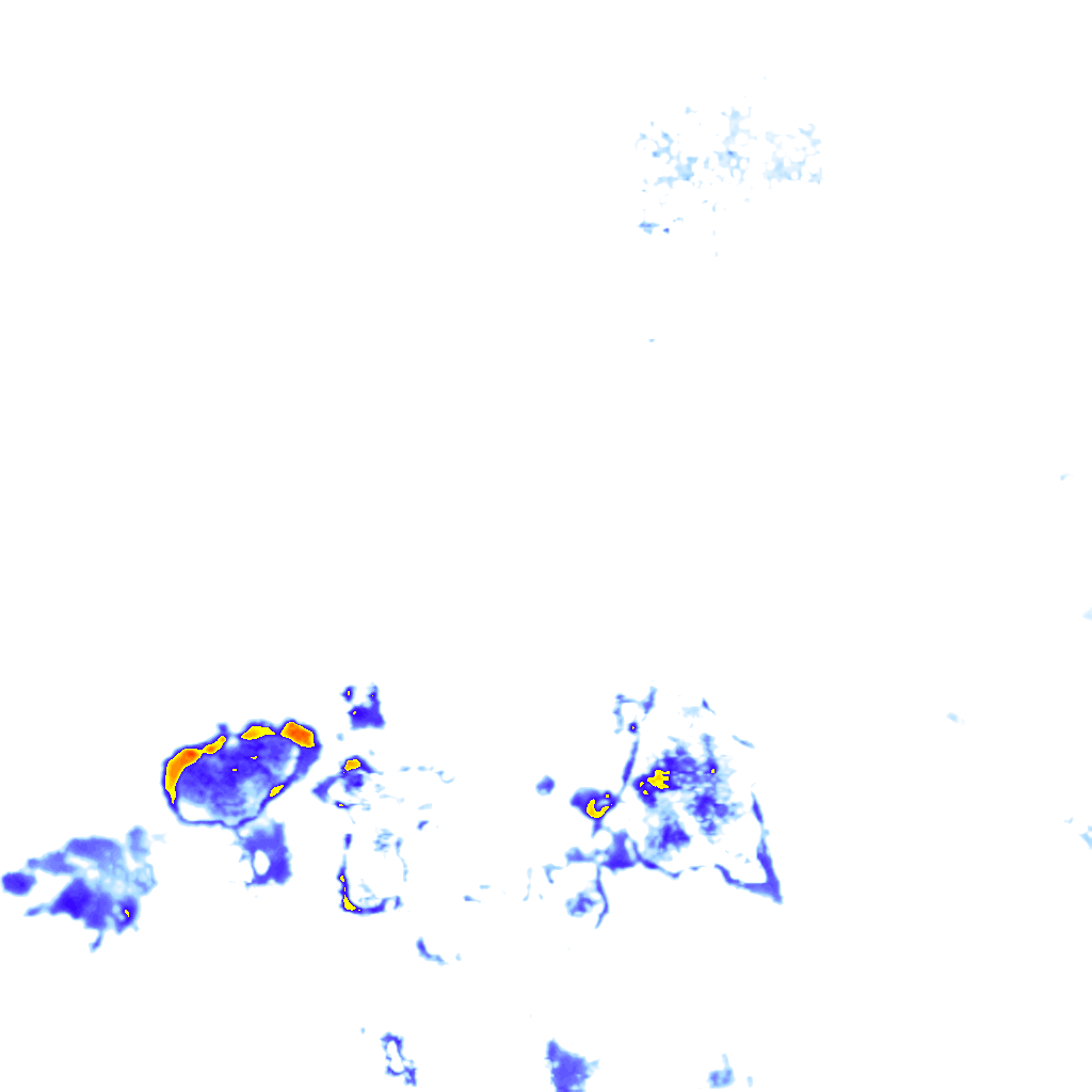 rainLayer