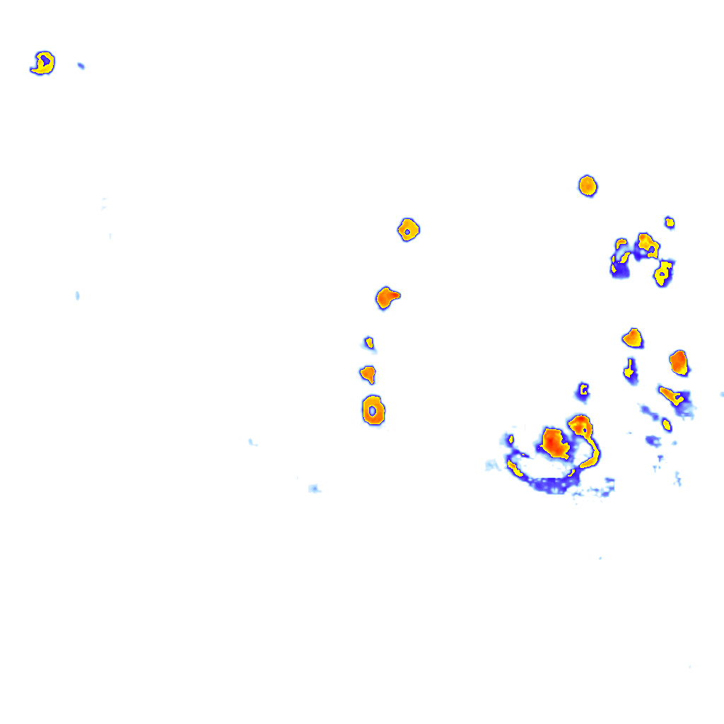 Image Layer
