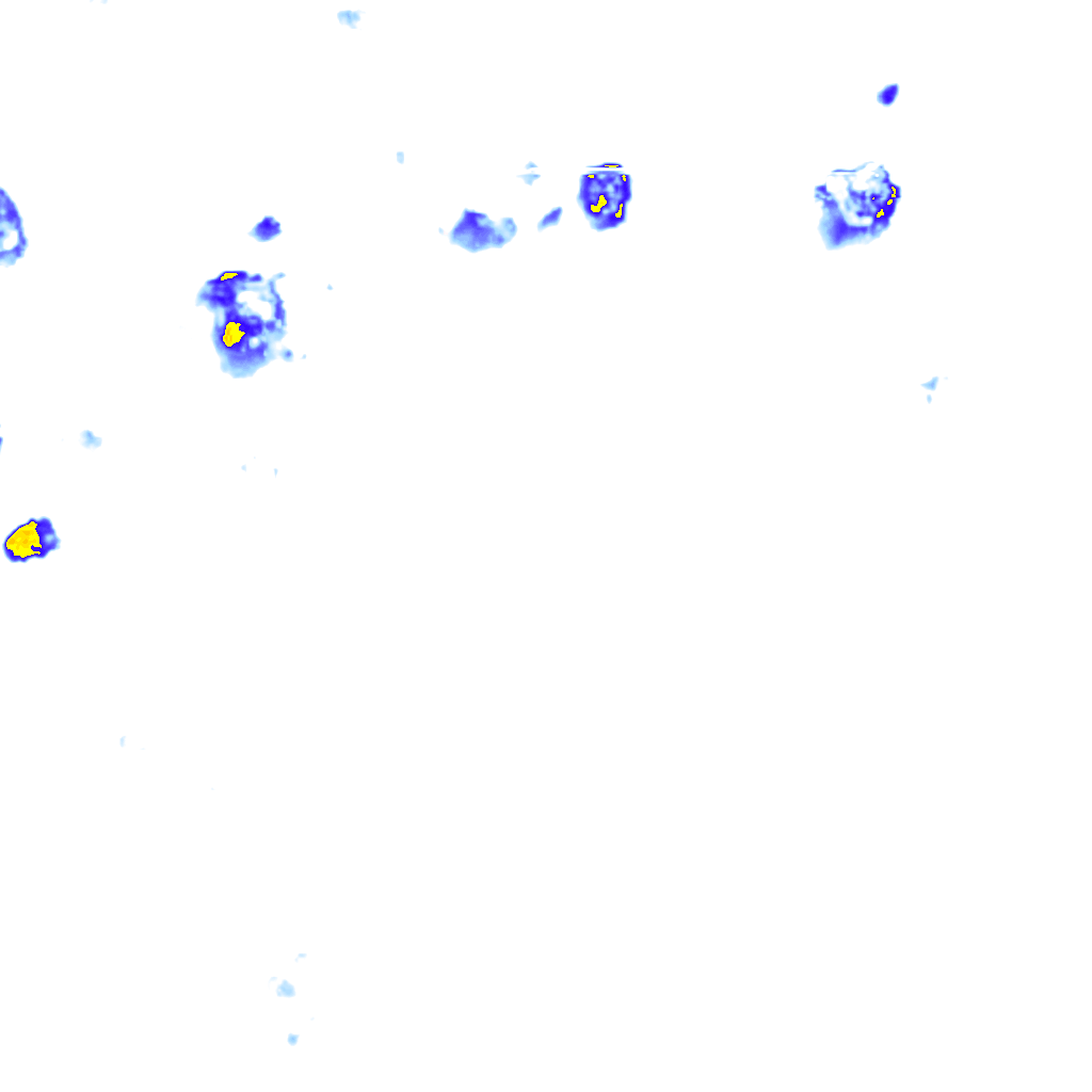 rainLayer