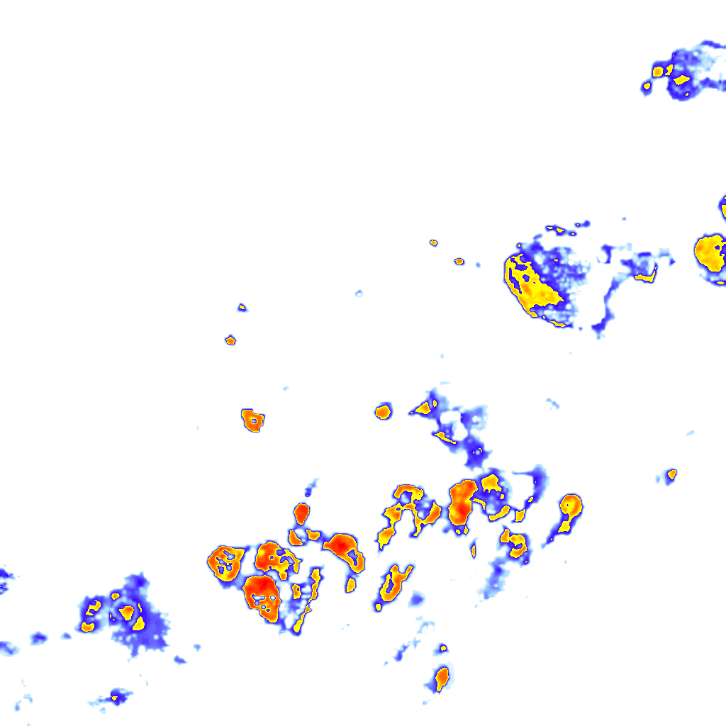 rainLayer