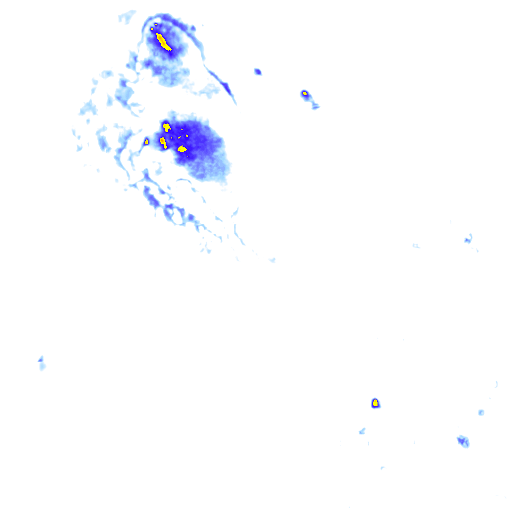Image Layer