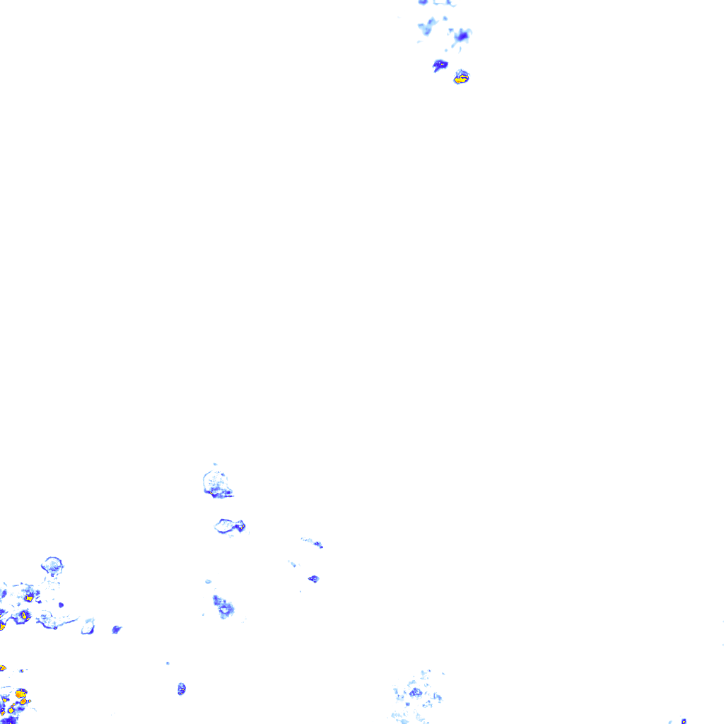 rainLayer