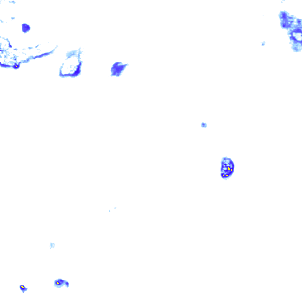 rainLayer