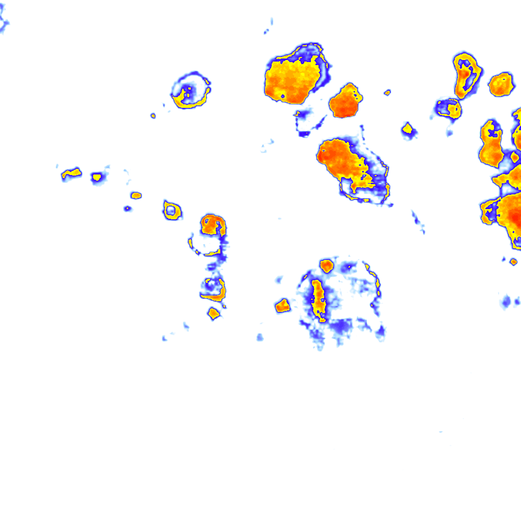 Image Layer