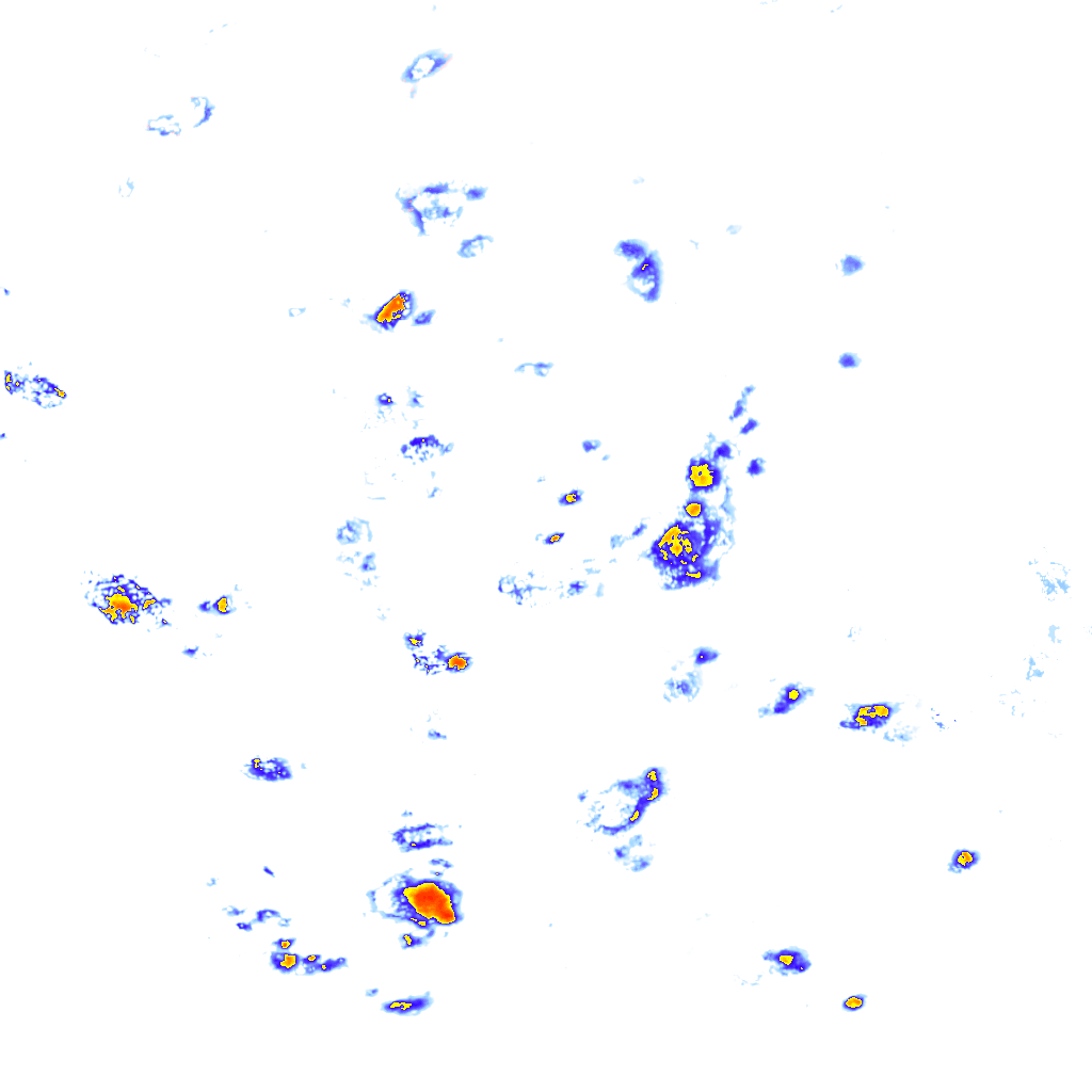 rainLayer