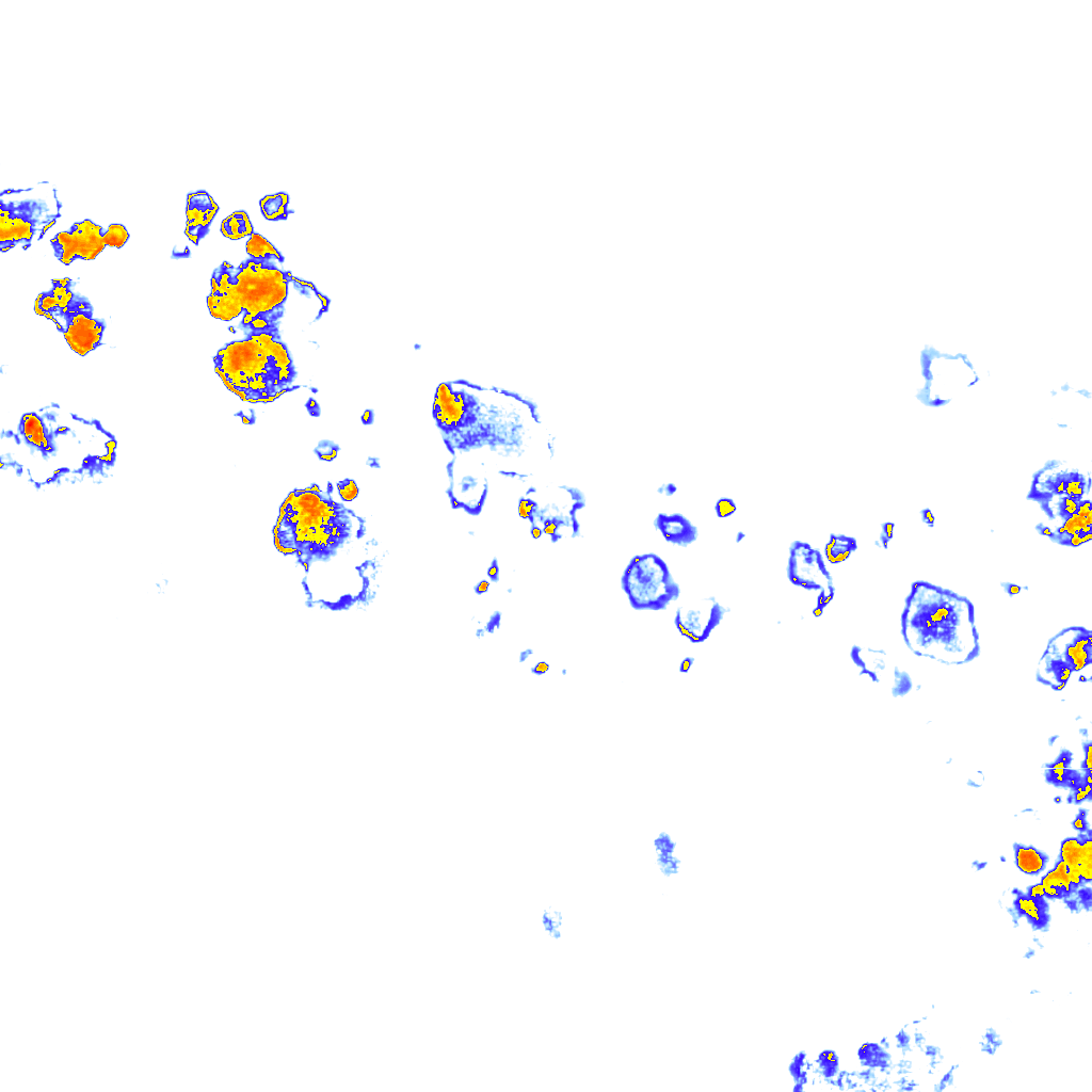 Image Layer