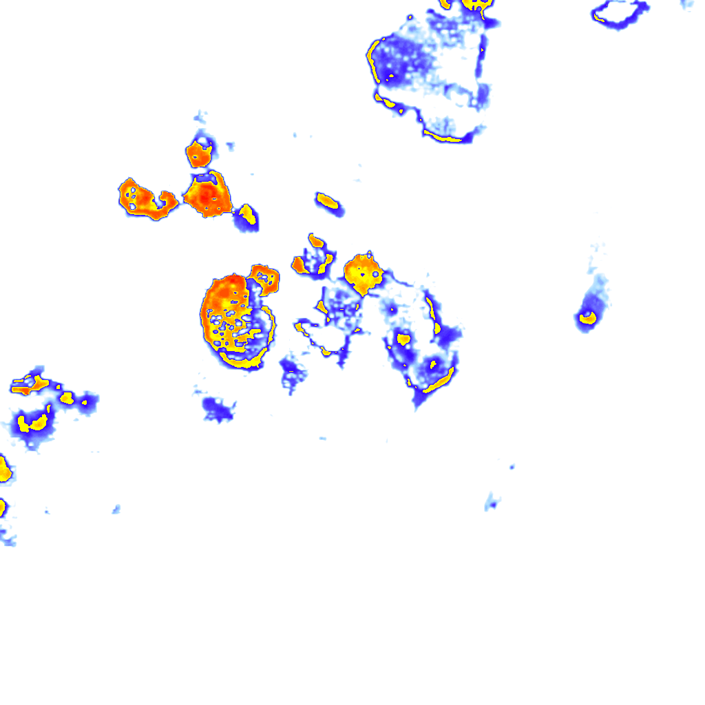 Image Layer