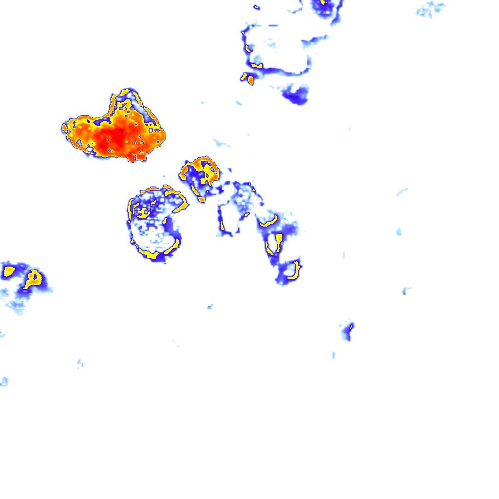 Image Layer