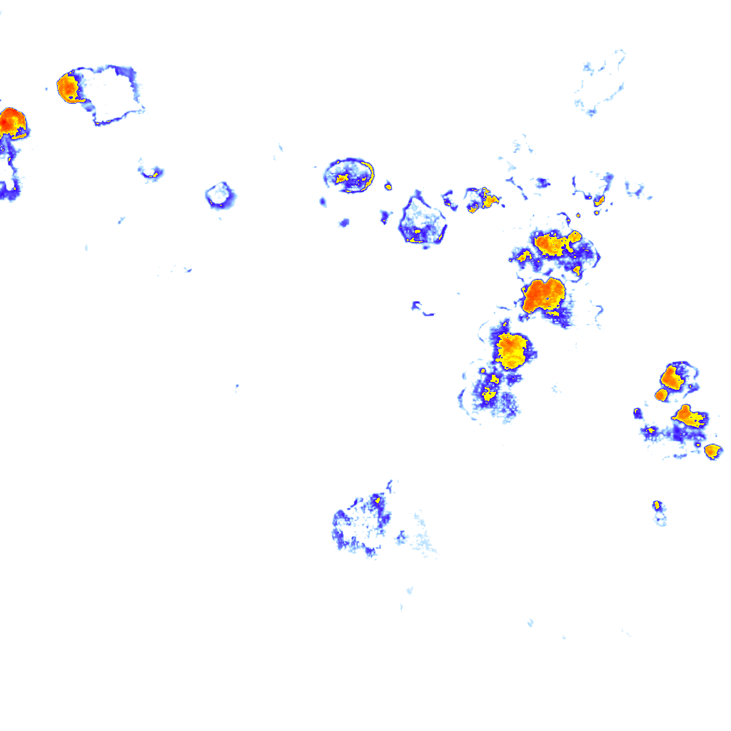 Image Layer