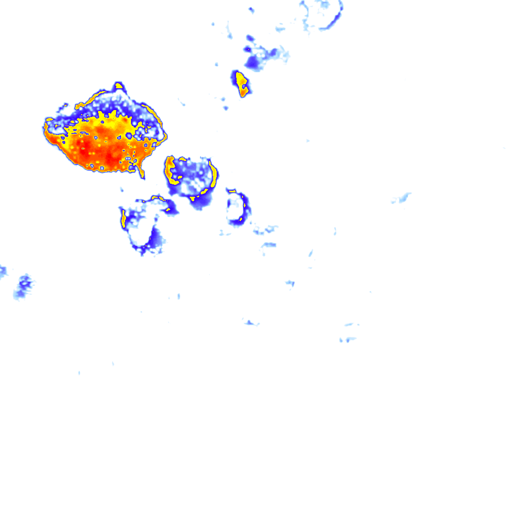 rainLayer