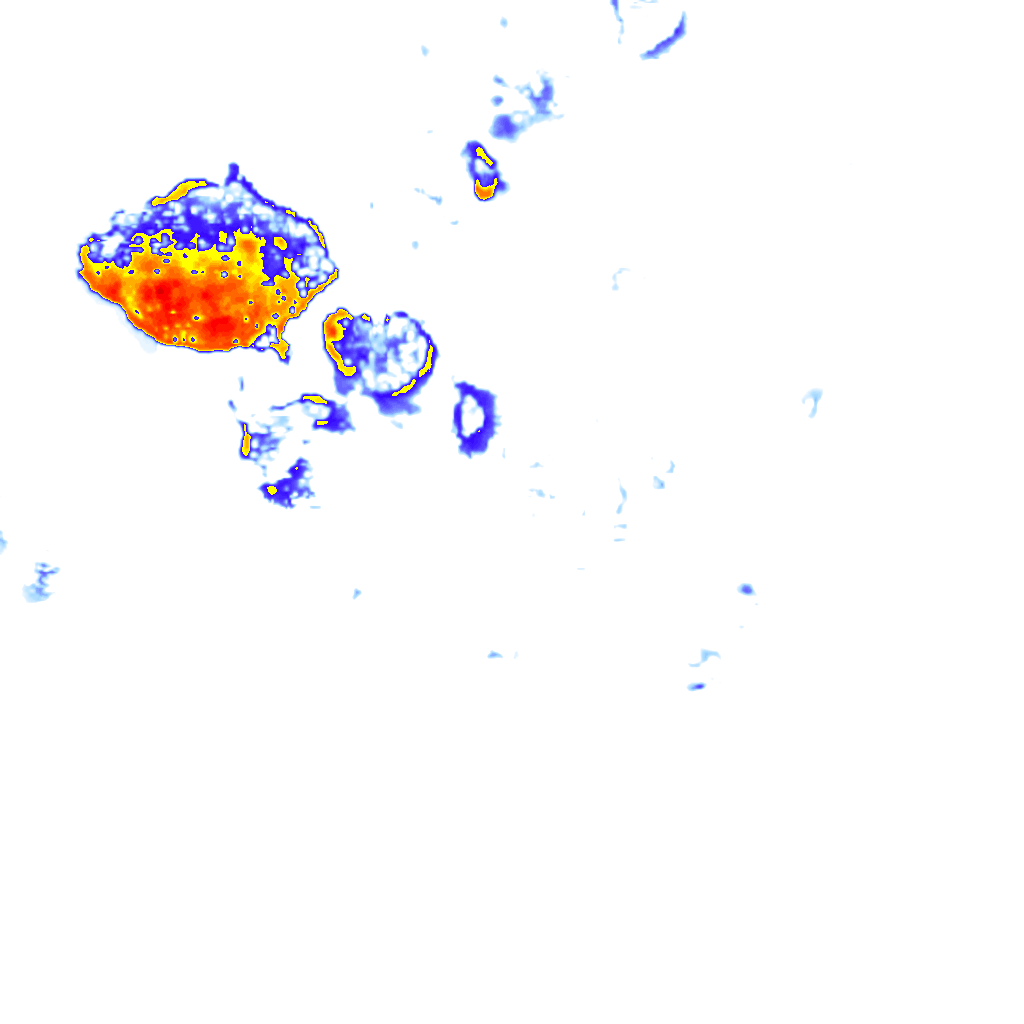rainLayer