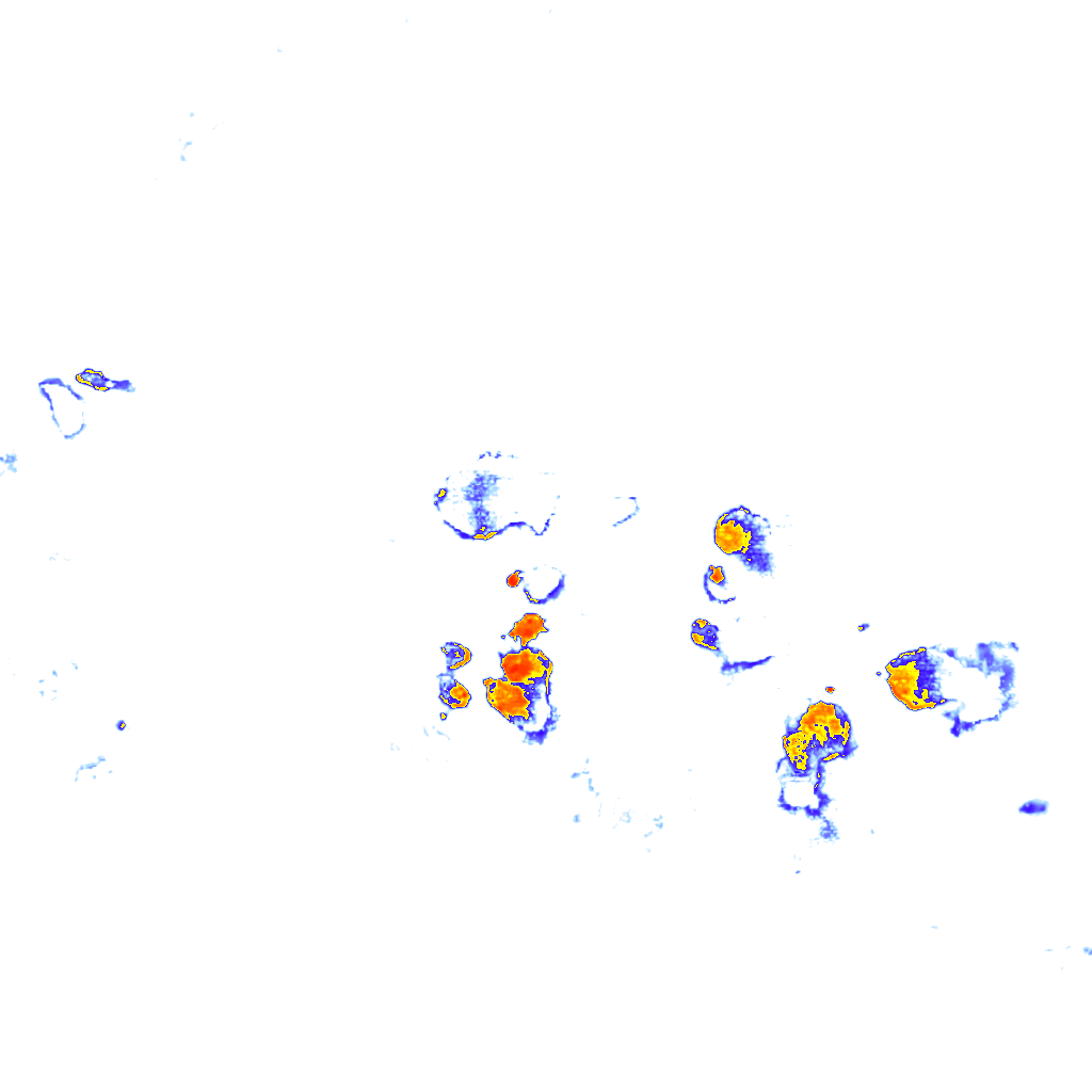 rainLayer