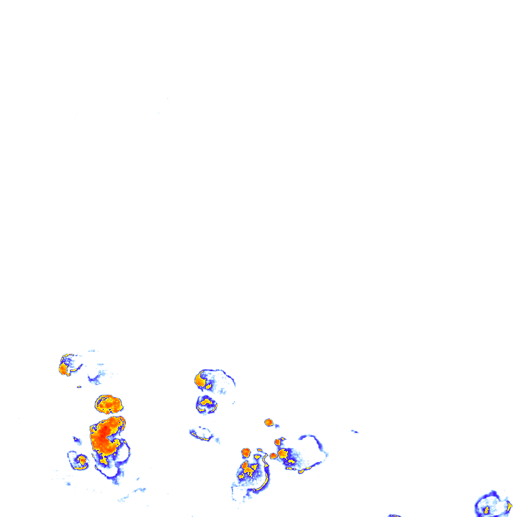 Image Layer
