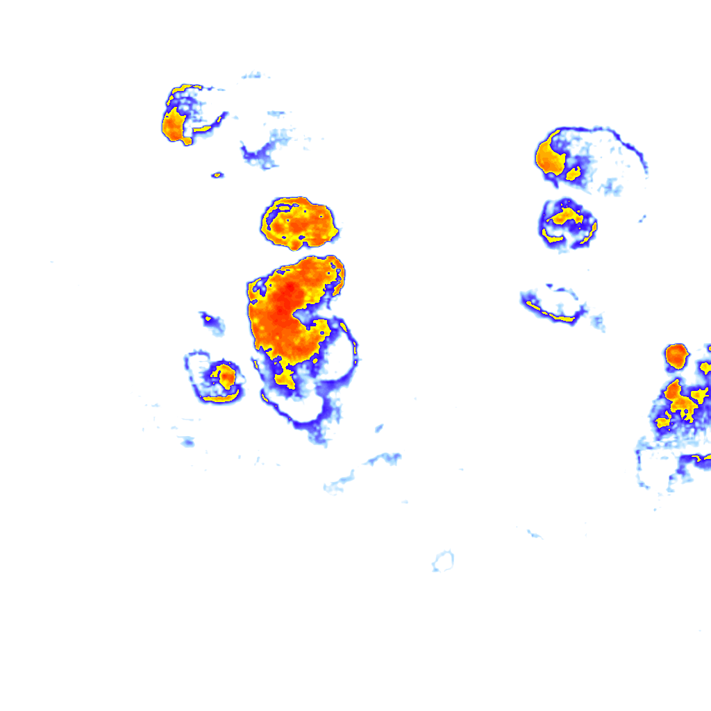 Image Layer