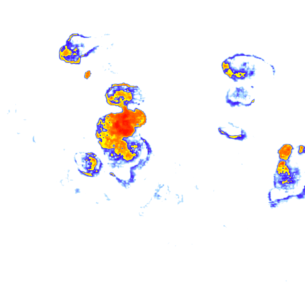 Image Layer