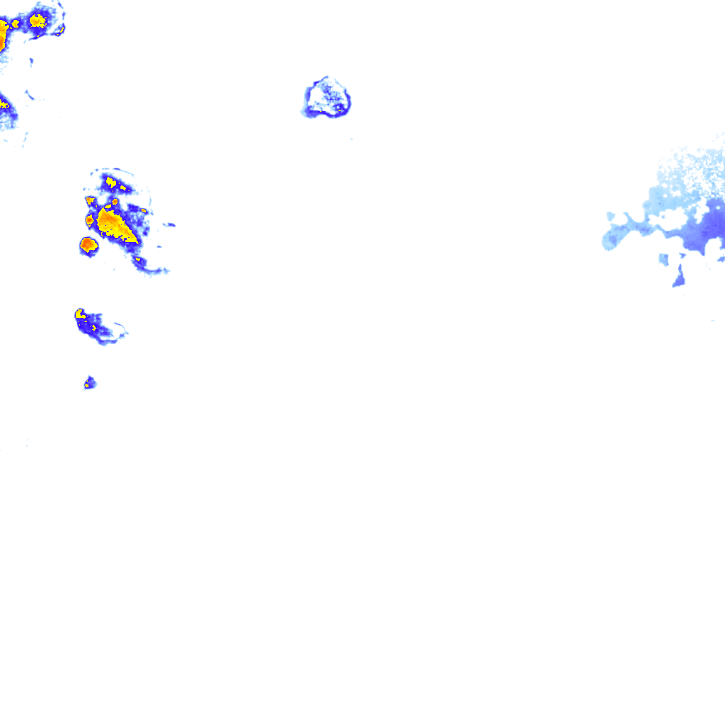 rainLayer