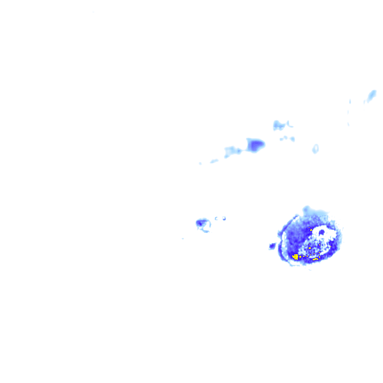 rainLayer