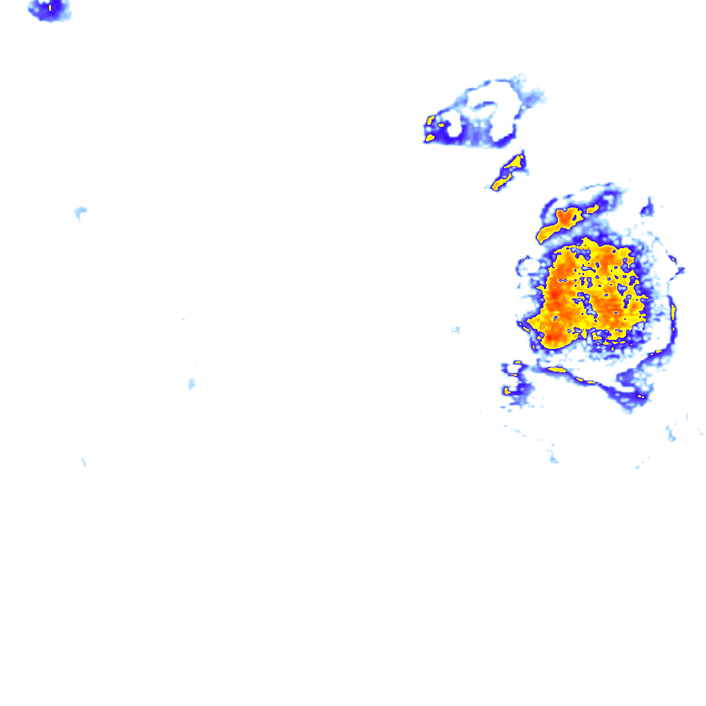 rainLayer