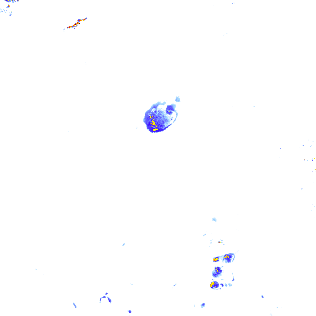 rainLayer
