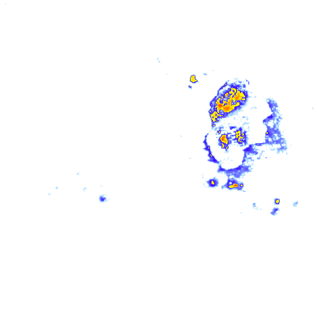 rainLayer