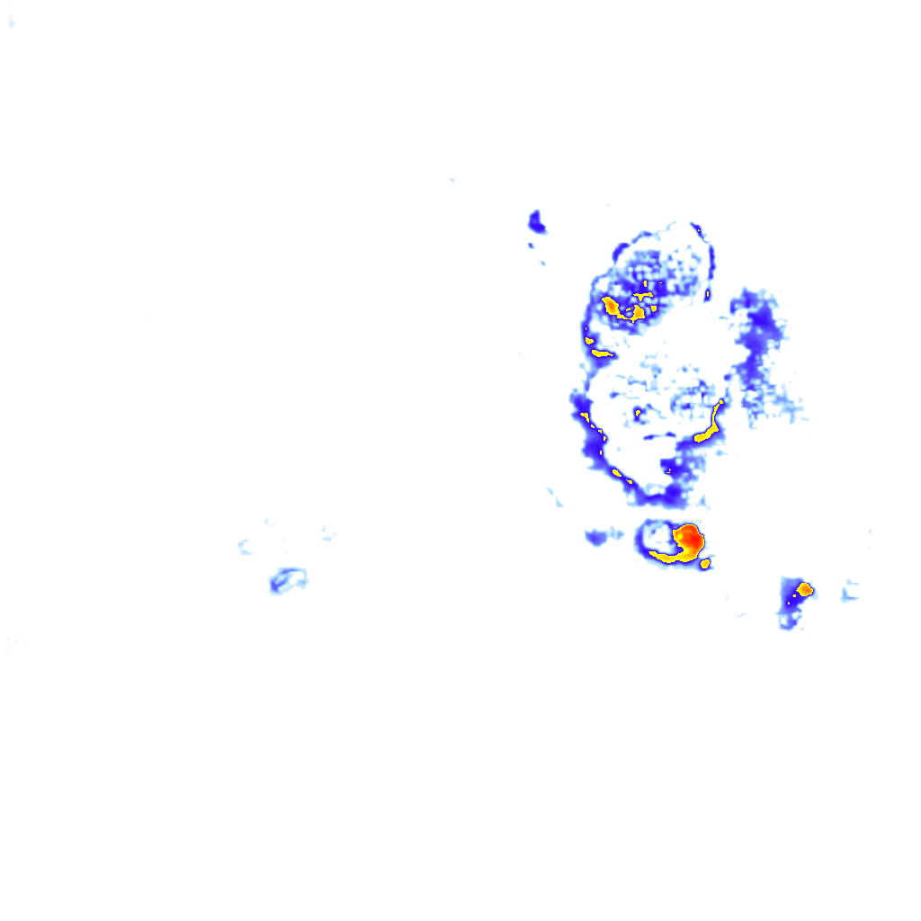 Image Layer