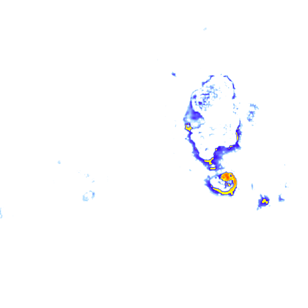 Image Layer