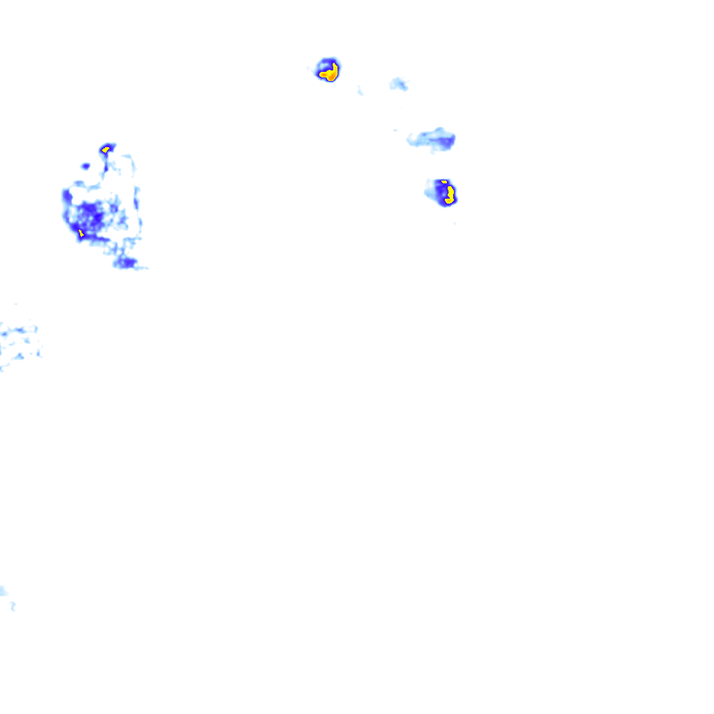 rainLayer