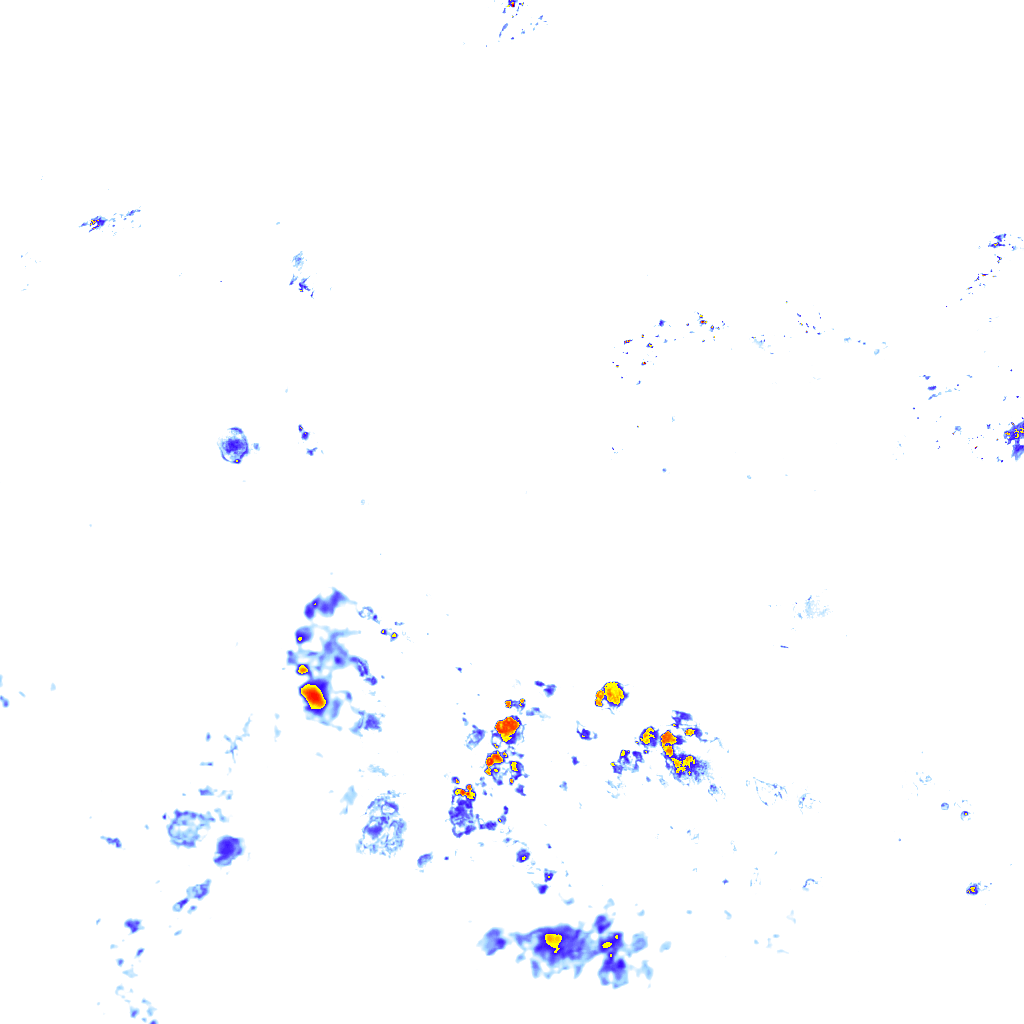 rainLayer