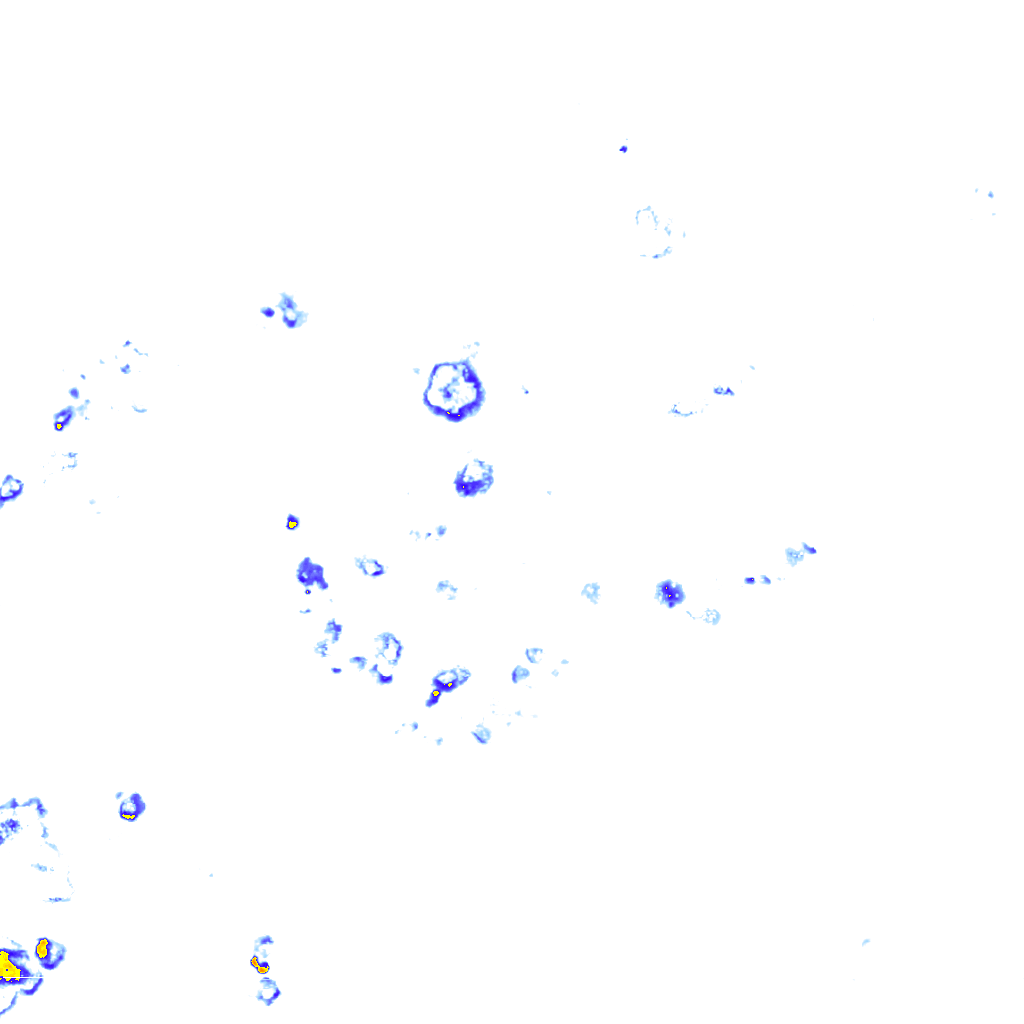 rainLayer