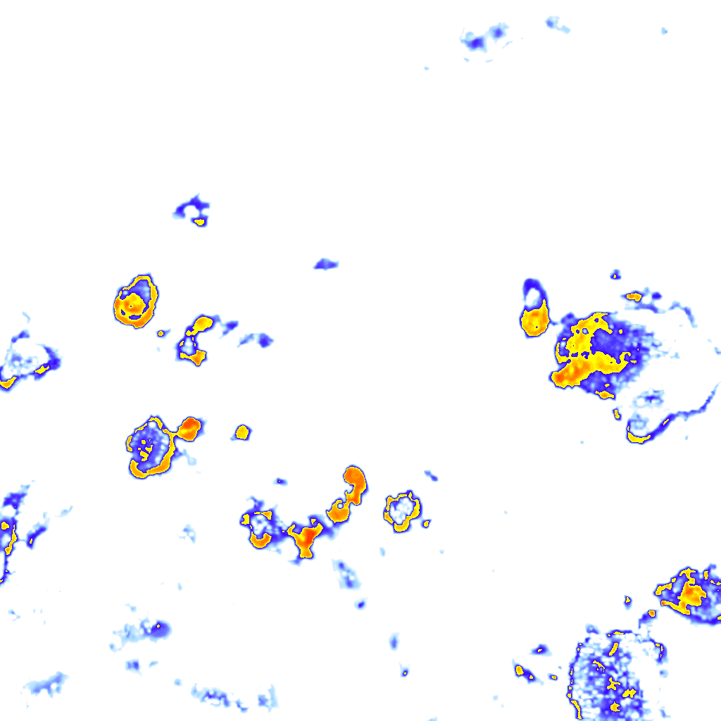 Image Layer