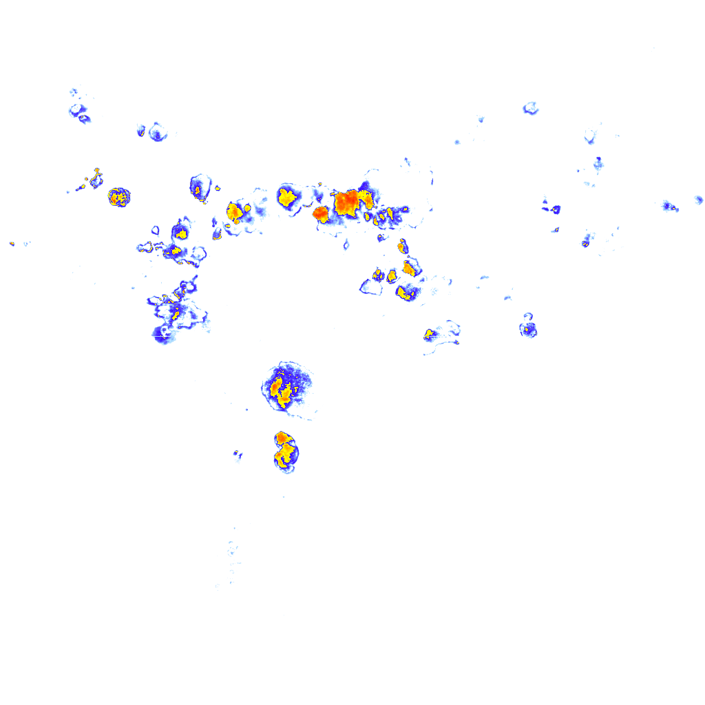 rainLayer