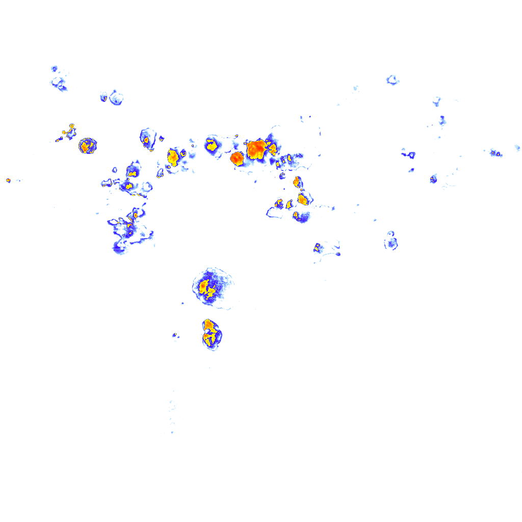 Image Layer