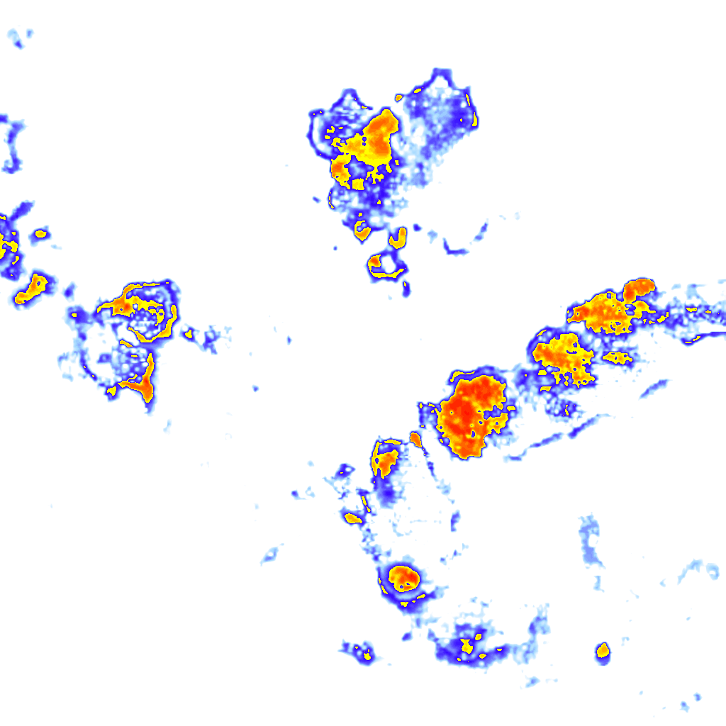 rainLayer
